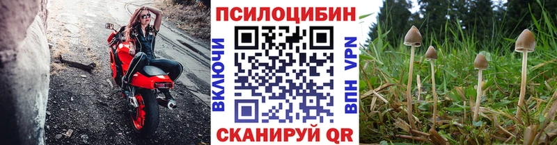 Галлюциногенные грибы Cubensis  Белёв 